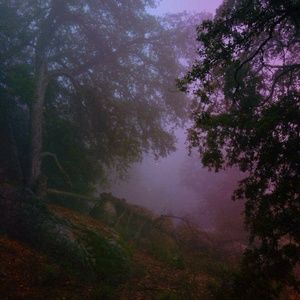 Meet your Posher, Corinne